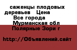 саженцы плодовых деревьев › Цена ­ 6 080 - Все города  »    . Мурманская обл.,Полярные Зори г.